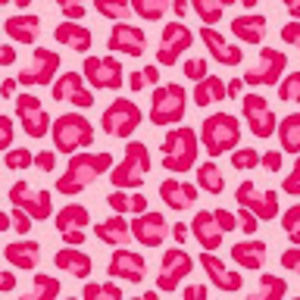 Meet your Posher, Madisyn